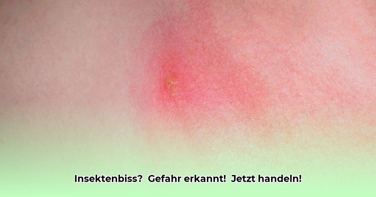 infektion-nach-insektenstich